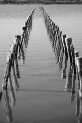 Fototapeta premium Vestiges des Salins de Frontignan