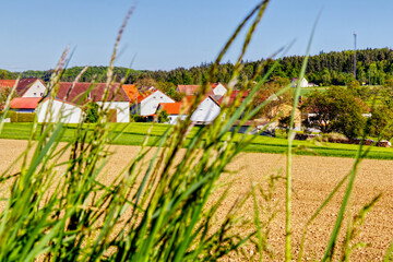 Fototapeta na wymiar scenic view of a villahge in the background of fields
