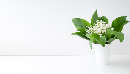 spring flowers lily of the valley and green leaves in white vase on white background. copy space