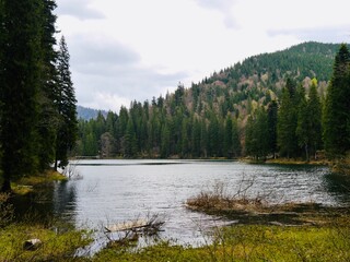 Naklejka premium Synevyr lake landscape in the mountains at Ukrainian Carpathians, near Synevyrska Poliana village