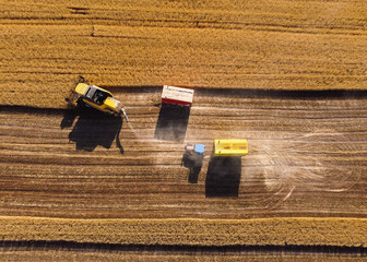Harvesting machine working in the field. Top view from the drone Combine harvester agricultural...