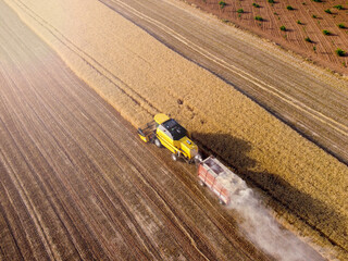 Harvesting machine working in the field. Top view from the drone Combine harvester agricultural machine ride in the field of golden ripe wheat.