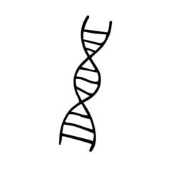 Vector hand drawn doodle sketch dna isolated on white background