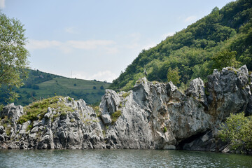 landscape in the mountains with bird