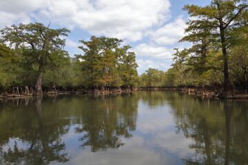 Fototapeta na wymiar Choctawhatchee River, Florida, USA