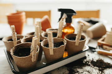 Seeds, peat pots, gardening tools on linen fabric background. Ready for plant