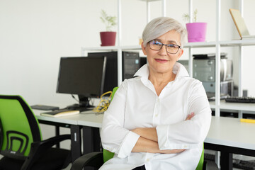 adult gray-haired woman at the age of working in the office at the computer 