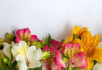 Unfolded flowers. Beautiful floral arrangement with alstroemeria flowers on white background, place for text