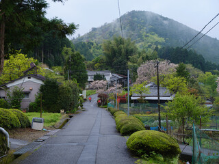 里山の風景