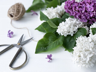 white and purple lilac and scissors