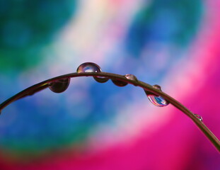 Water Droplets