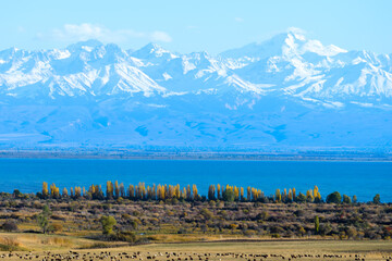 Issyk Kul Lake in Kyrgyzstan surronded by Northern Tian Shan mountains in fall season. Kyrgyz alpine lake in National Park with snow capped mountain. - obrazy, fototapety, plakaty