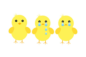 雄のひよこの殺処分を止めて