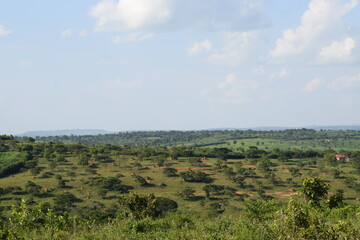 Fototapeta na wymiar landscape with field and sky - Kassanda, Uganda