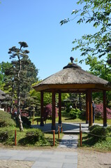 japanese tea house in Planten un Blomen