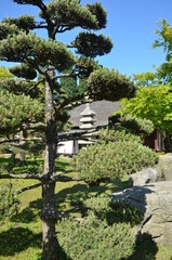 Fototapeta na wymiar japanese tea house in Planten un Blomen