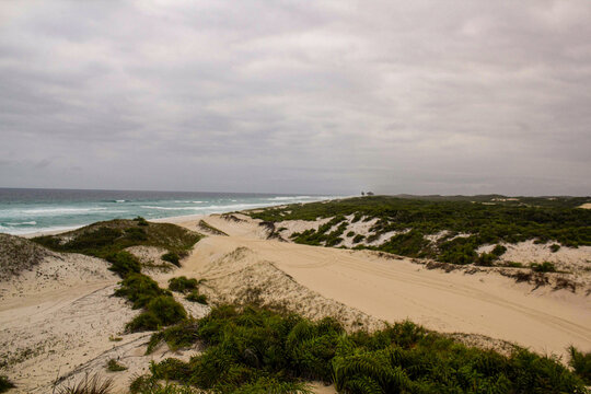 รูปภาพFigueira เลือกดูภาพถ่ายสต็อก เวกเตอร์ และวิดีโอ1,871 Adobe Stock