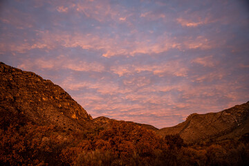 Fototapeta na wymiar Rows of Pink Tinted Clouds Over Guadalupe Mountains