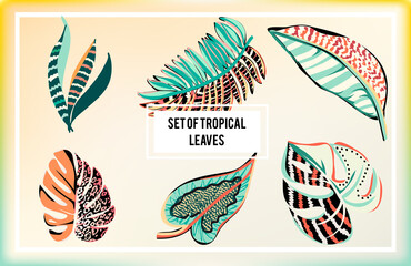 Set of abstract tropical leaves. Vector illustration.