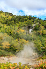 大雪山国立公園高原温泉沼めぐりコースの紅葉