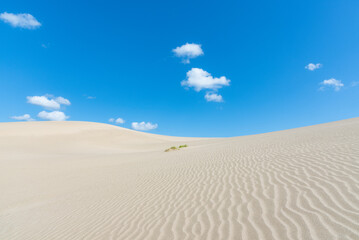 Fototapeta na wymiar 鳥取砂丘と青い空