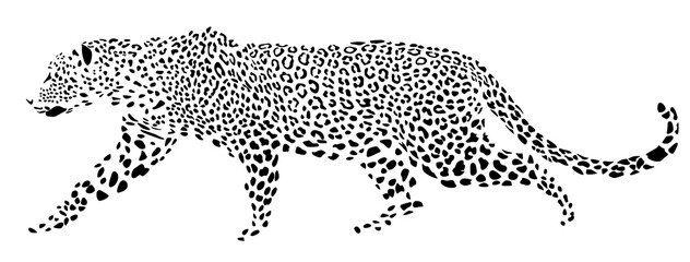 The leopard is coming. The image is in the form of black spots. Vector graphics