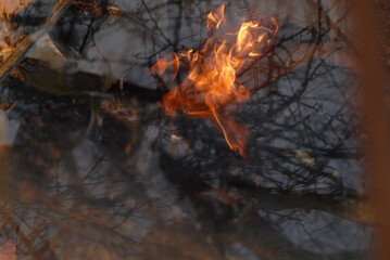 Blurred background with open fire against tree branches in the forest. Ecological issue and environmental protection.