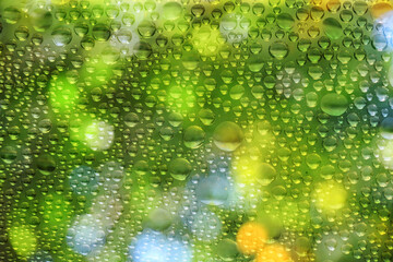 twinkling water drop with the colorful of green forest bokeh background