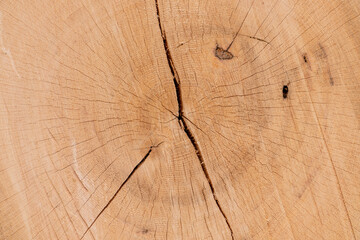 Round cut wood with details