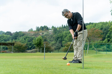 Obraz premium ゴルフを楽しむ男性