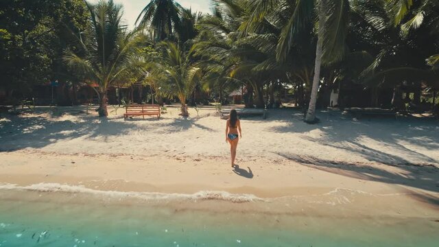 Back view of girl walking on tropical beach. Sexy woman in bikini having fun on ocean coast on vacation. Summer travel to paradise resort. Palm trees at sand sea shore with clear water. Miami, USA