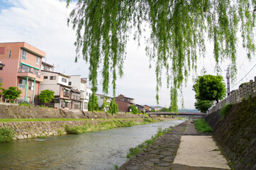 高山の市街地を流れる宮川の遊歩道