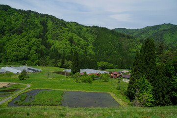 Fototapeta na wymiar 新緑が美しい飛騨の山村