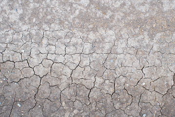 The surface of the dry land