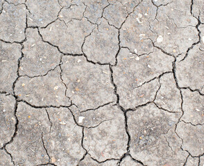 The surface of the dry land