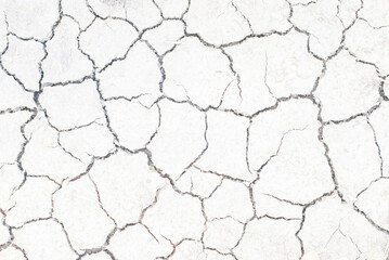 The surface of the dry land