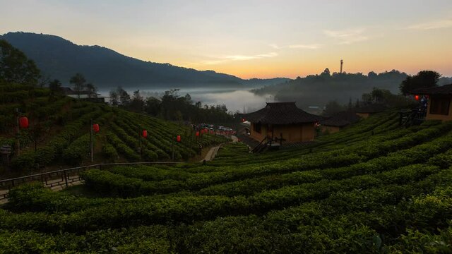 Time lapse Sunrise at Lee wine Rak Thai,Ban Rak Thai a Chinese settlement, Mae Hong Son, Thailand