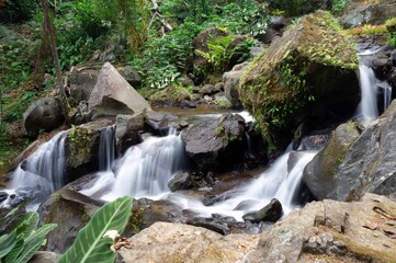 Fototapeta premium waterfall in the forest