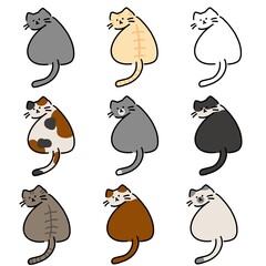 こっちをふりむいているネコ