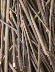 wood sticks or cut and collected firewood background texture surface or wallpaper abstract, closeup and top down view