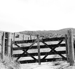 Fototapeta premium wooden fence