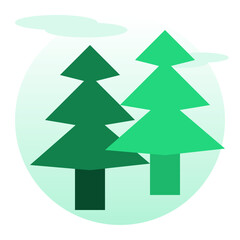 Fototapeta premium A Couple of Pine Trees