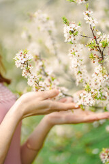 Fototapeta na wymiar girls hands in flowering trees