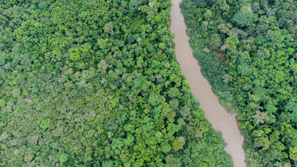 Aerial view of Amazon rainforest in Brazil, South America. Green forest. Bird's-eye view.