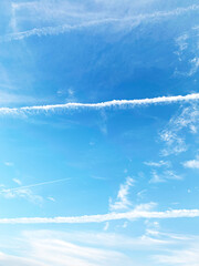 快晴の空にたくさんの飛行機雲