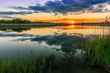 Fototapeta na wymiar Scenic view at beautiful spring sunset with reflection on a shiny lake with green reeds, grass, golden sun rays, calm water ,deep blue cloudy sky and glow on a background, spring evening landscape