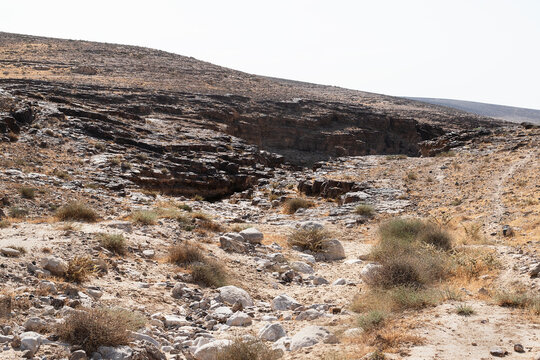 typical Negev Desert landscape southeast of Arad in Israel showing a canyon formed by chert flint layers with chunks of chalk in the foreground