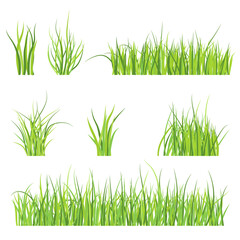 Set of green grass pattern