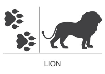 Lion silhouette and footprints. Vector illustration on a white background. © OnD