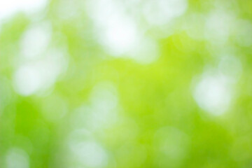 Naklejka na ściany i meble Abstract blurred green summer background. White defocused bokeh on a green background. Design concept